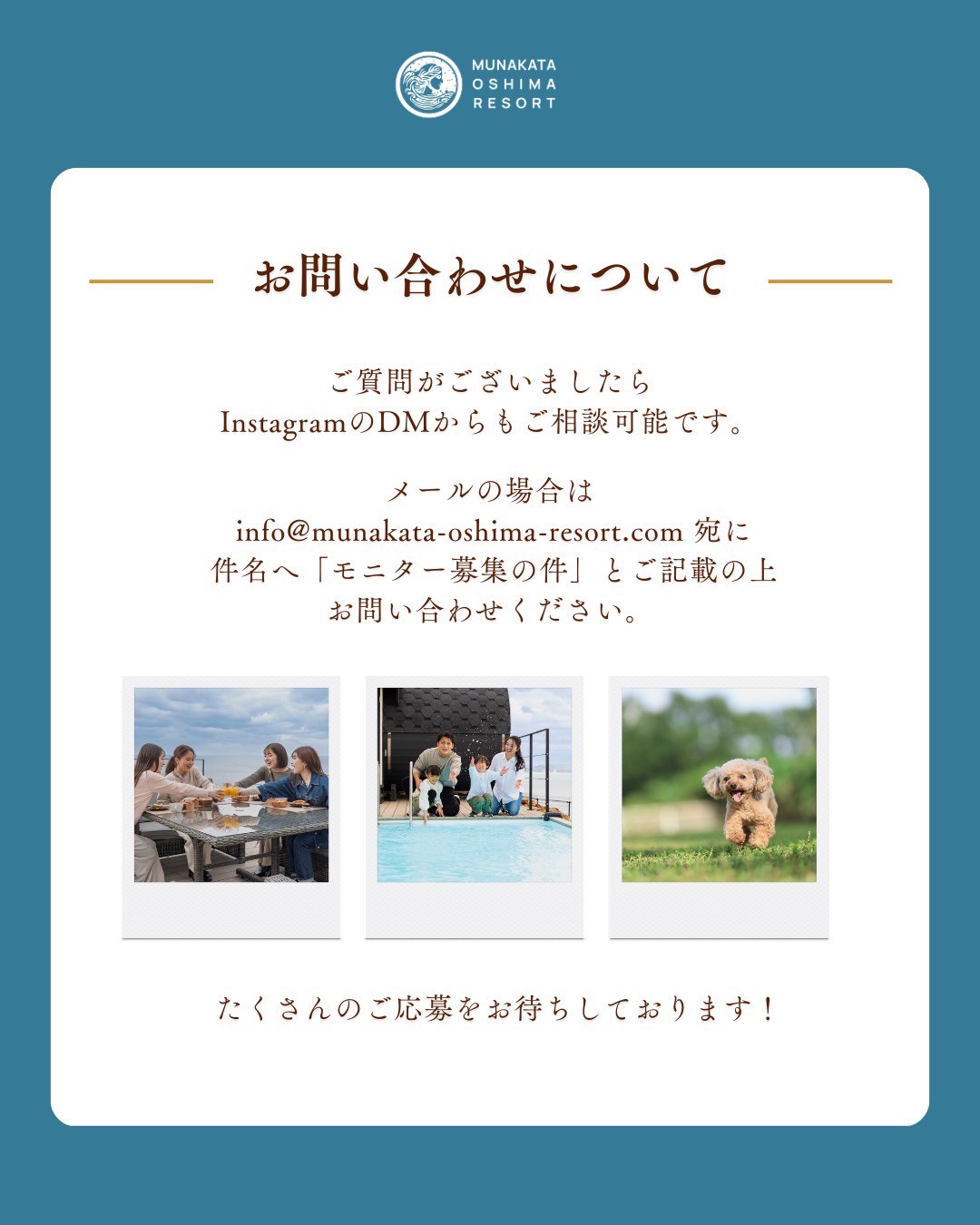 モニタープラン