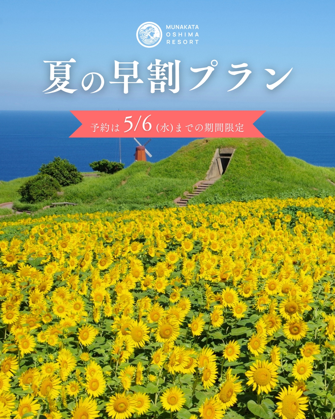 夏の早割プラン